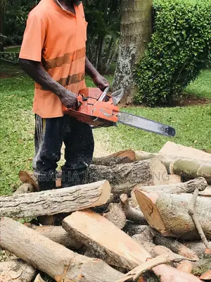 Cutting Of Trees