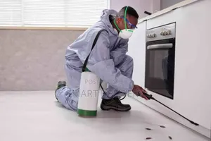 Indoor Fogging Mist