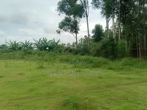 3.5 Acres of Lake View Land at Kasanje Entebbe