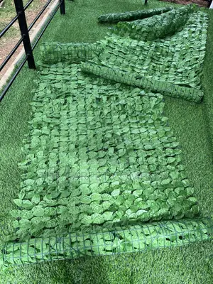 Expansion Wall Plants 3 Meters Long