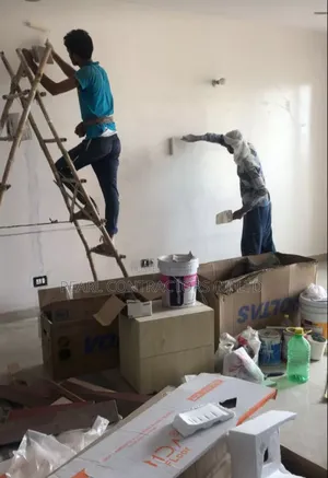 Professional Painting