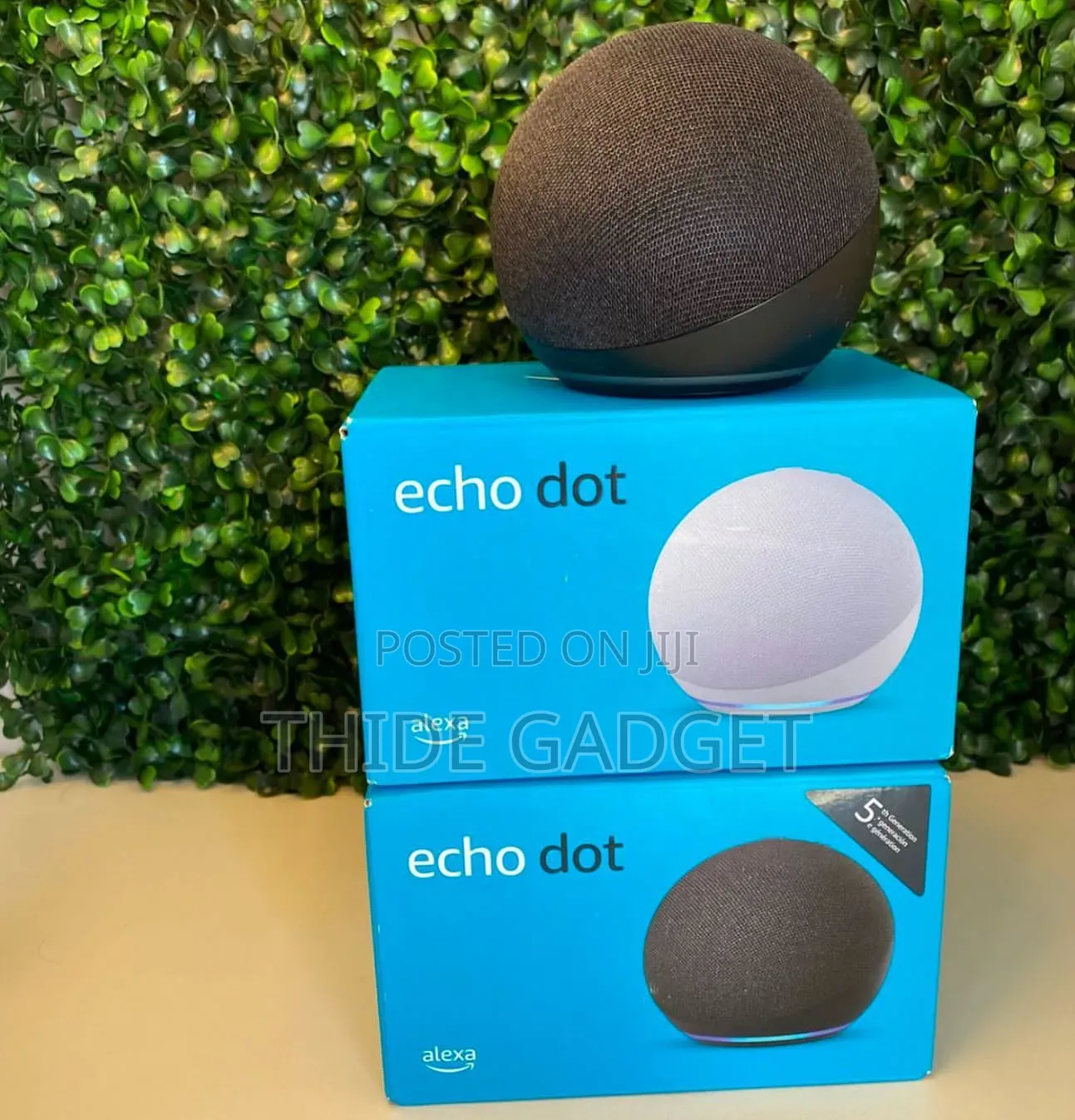 Amazon Echo Dot 5th Gen Smart Speaker With Alexa