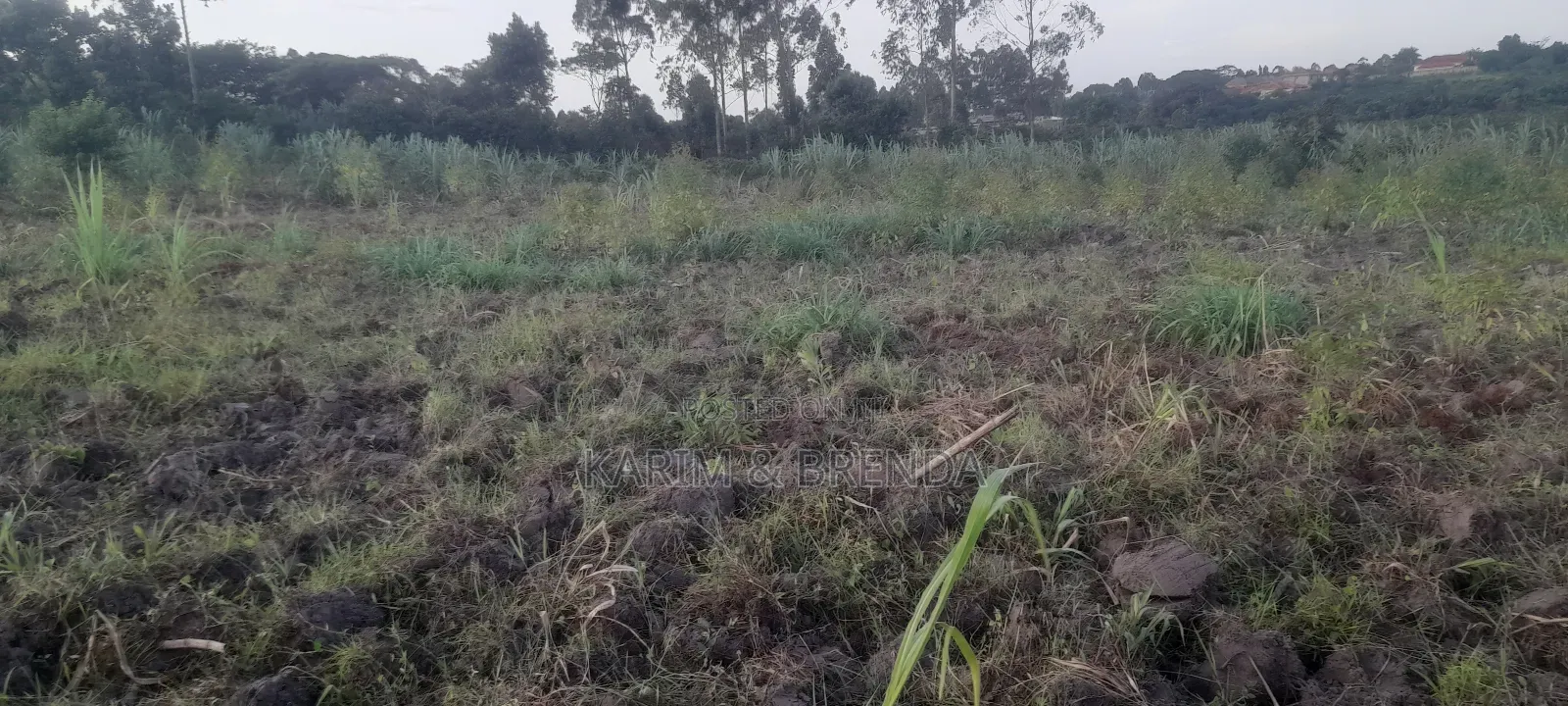 50ft By 100ft Plot For Sale In Nsangi