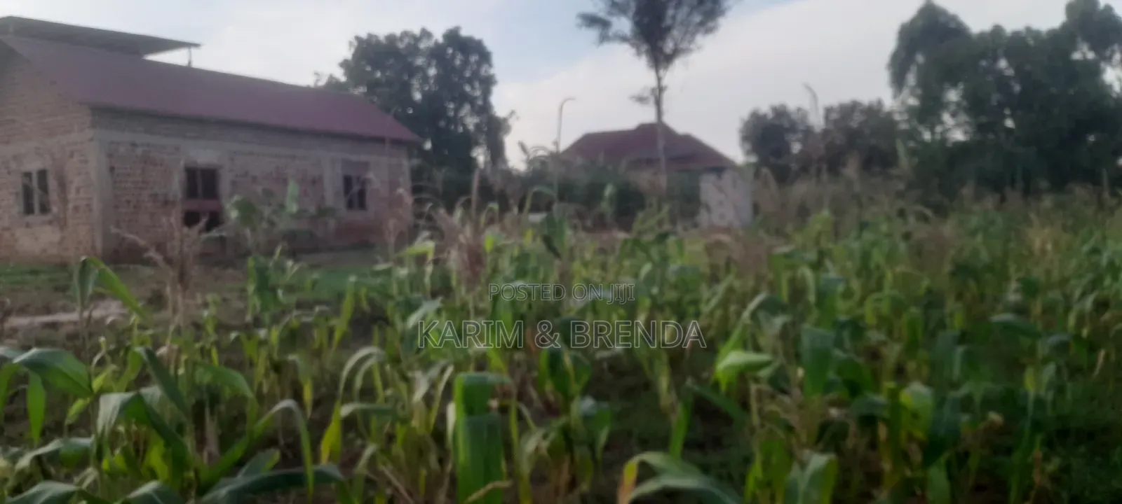50ft By 100ft Plot For Sale In Nsangi