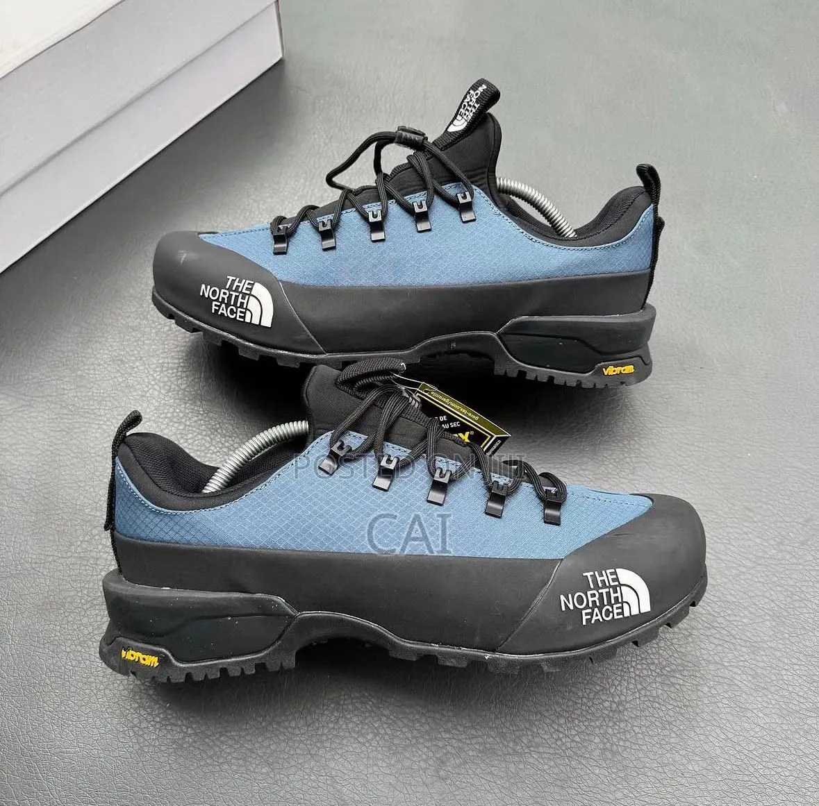 The North Face Glenclyffe Low Sneakers in a Blue and Black