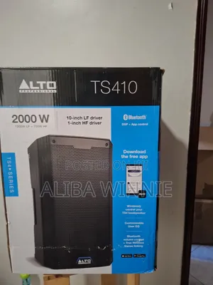 Alto Professional Speaker Ts410