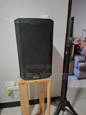 Alto Professional Speaker Ts410