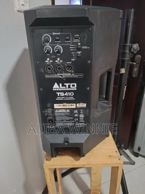 Alto Professional Speaker Ts410