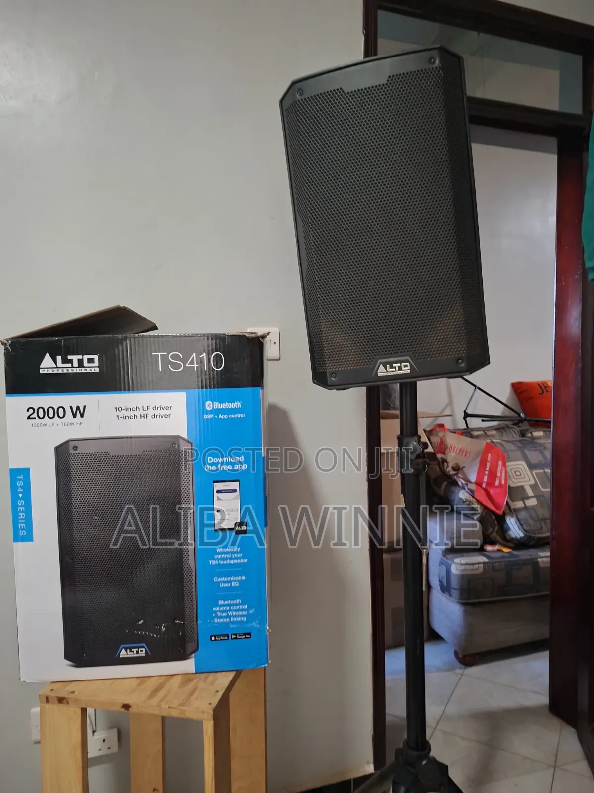 Alto Professional Speaker Ts410