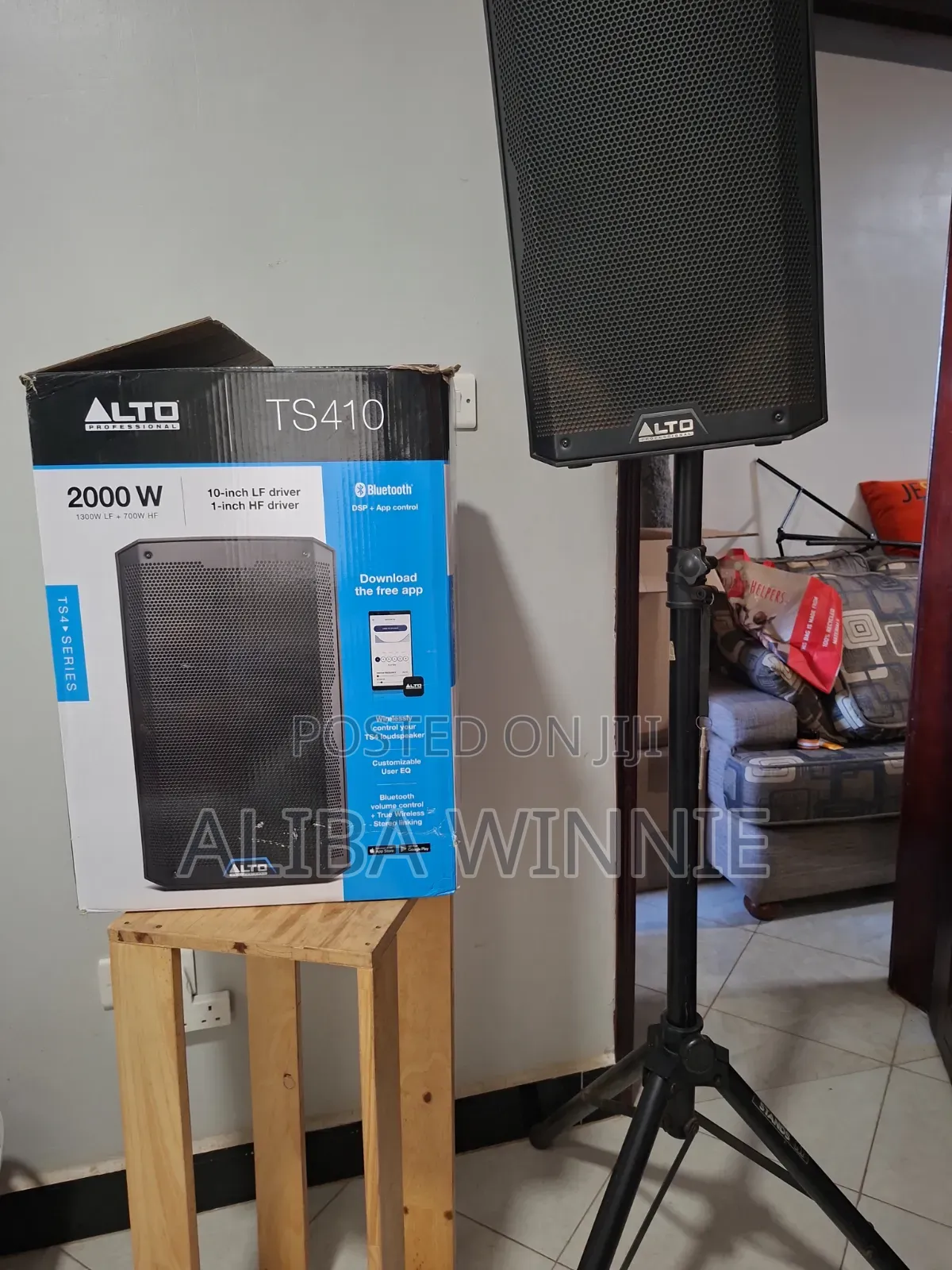 Alto Professional Speaker Ts410