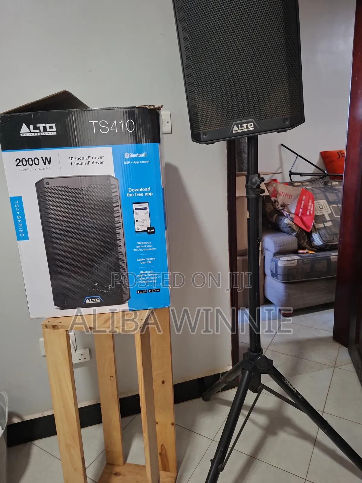 Alto Professional Speaker Ts410