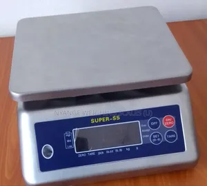 Waterproof Weigh Stainless Steel Weigh Scale Digital Weighing Scale