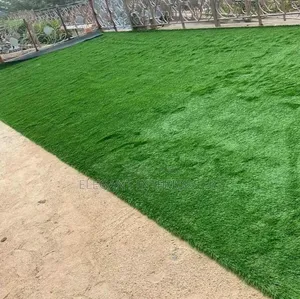 Out Door and Indoor Grass Carpets