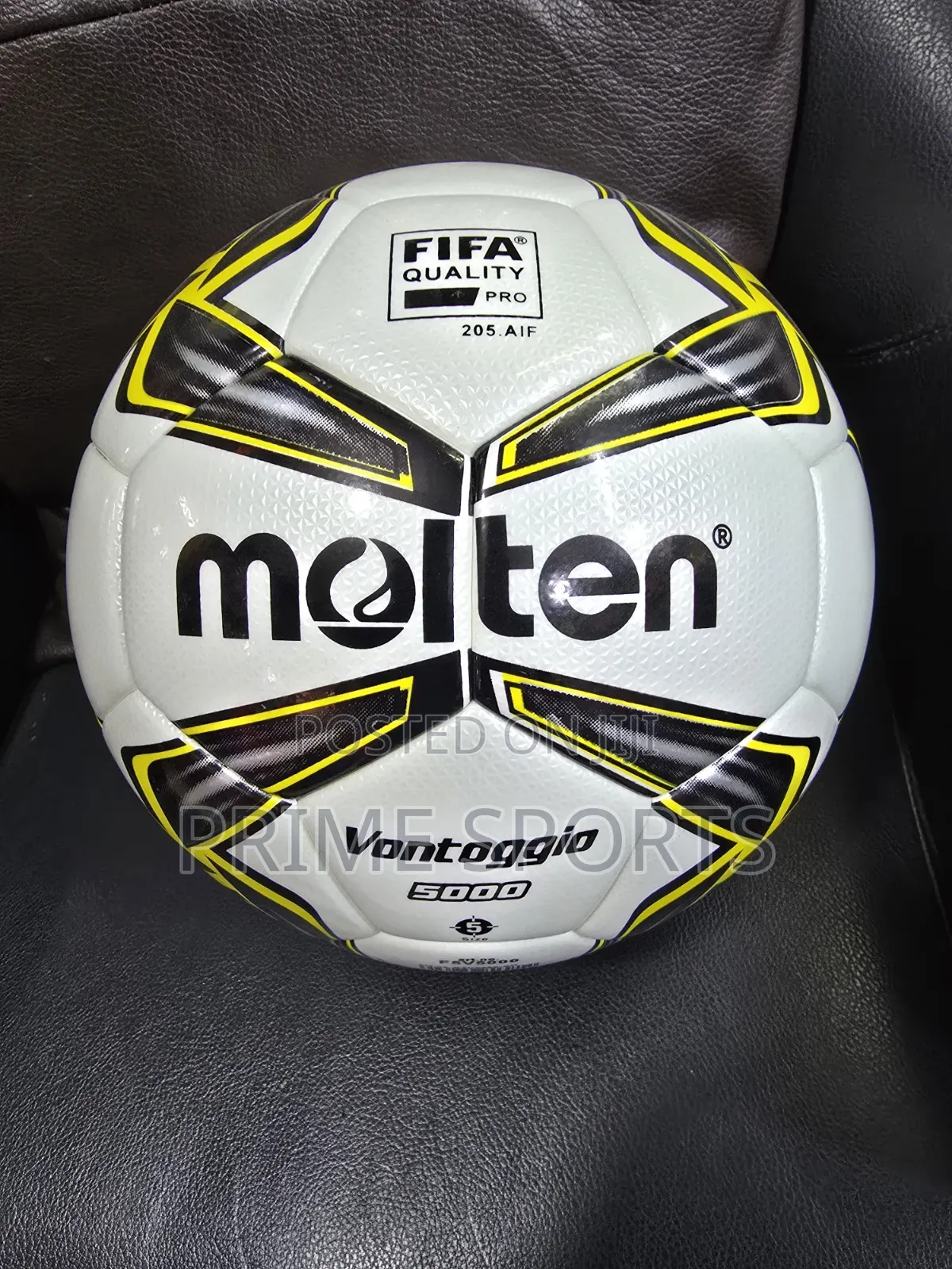 Football Molten (Waterproof)