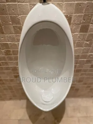 Plumbing Services Urinal Bowls