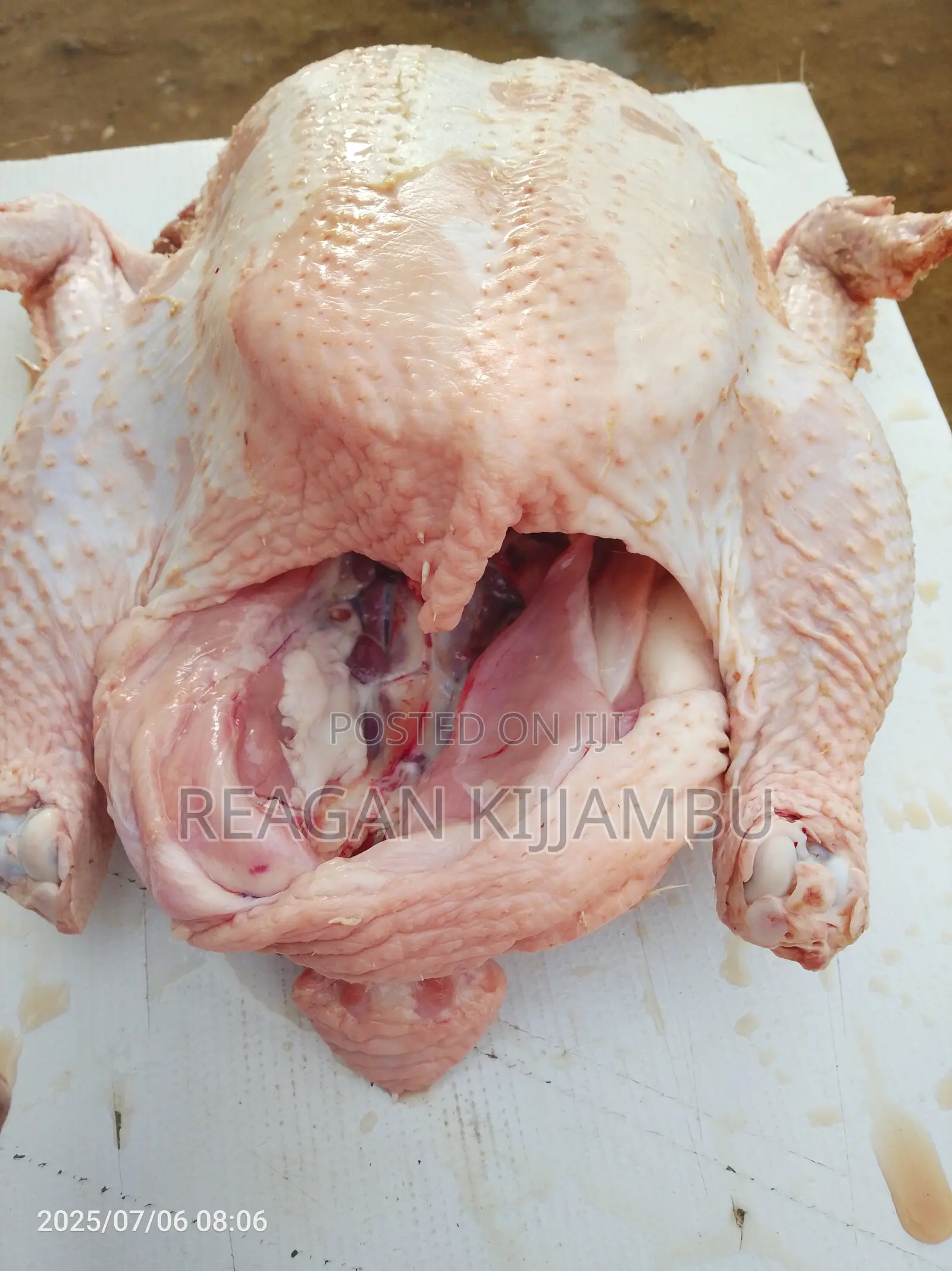 Fresh Chicken