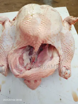 Fresh Chicken