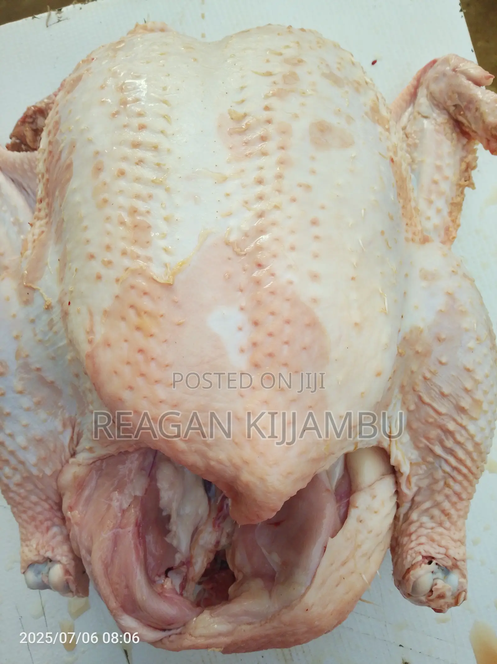Fresh Chicken