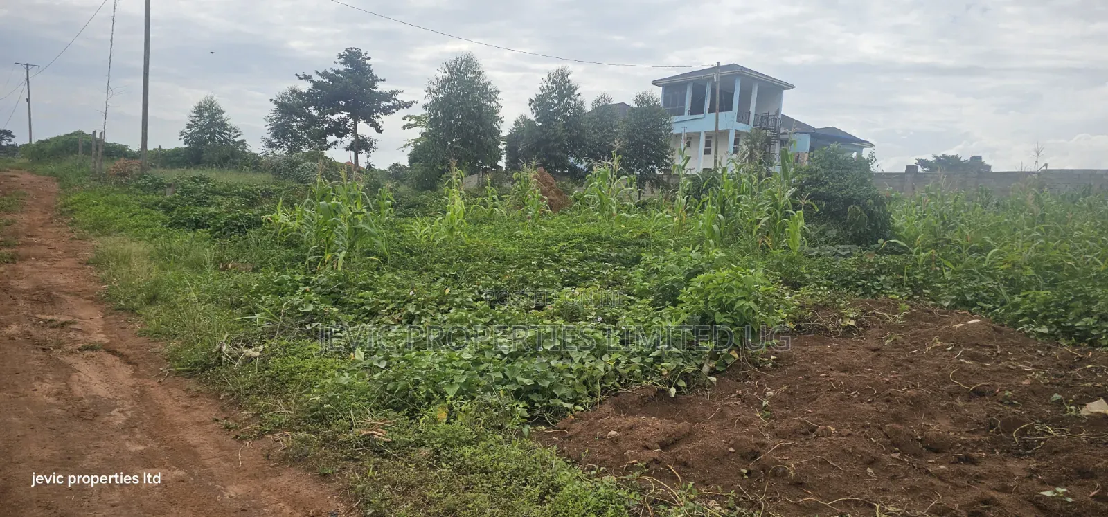 Lake View Plots for Sale at Garuga Along Entebbe Road