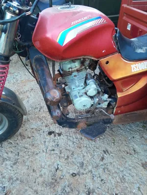 Tricycle 2023 Red