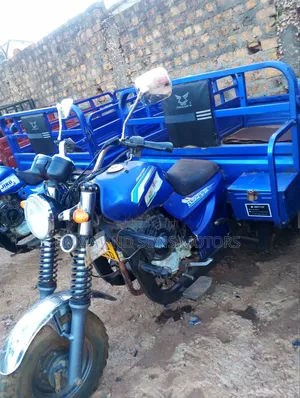 Tricycle 2024 Blue