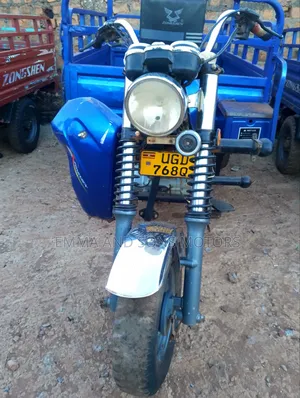 Tricycle 2024 Blue