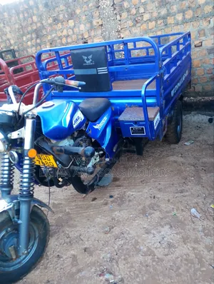 Tricycle 2024 Blue