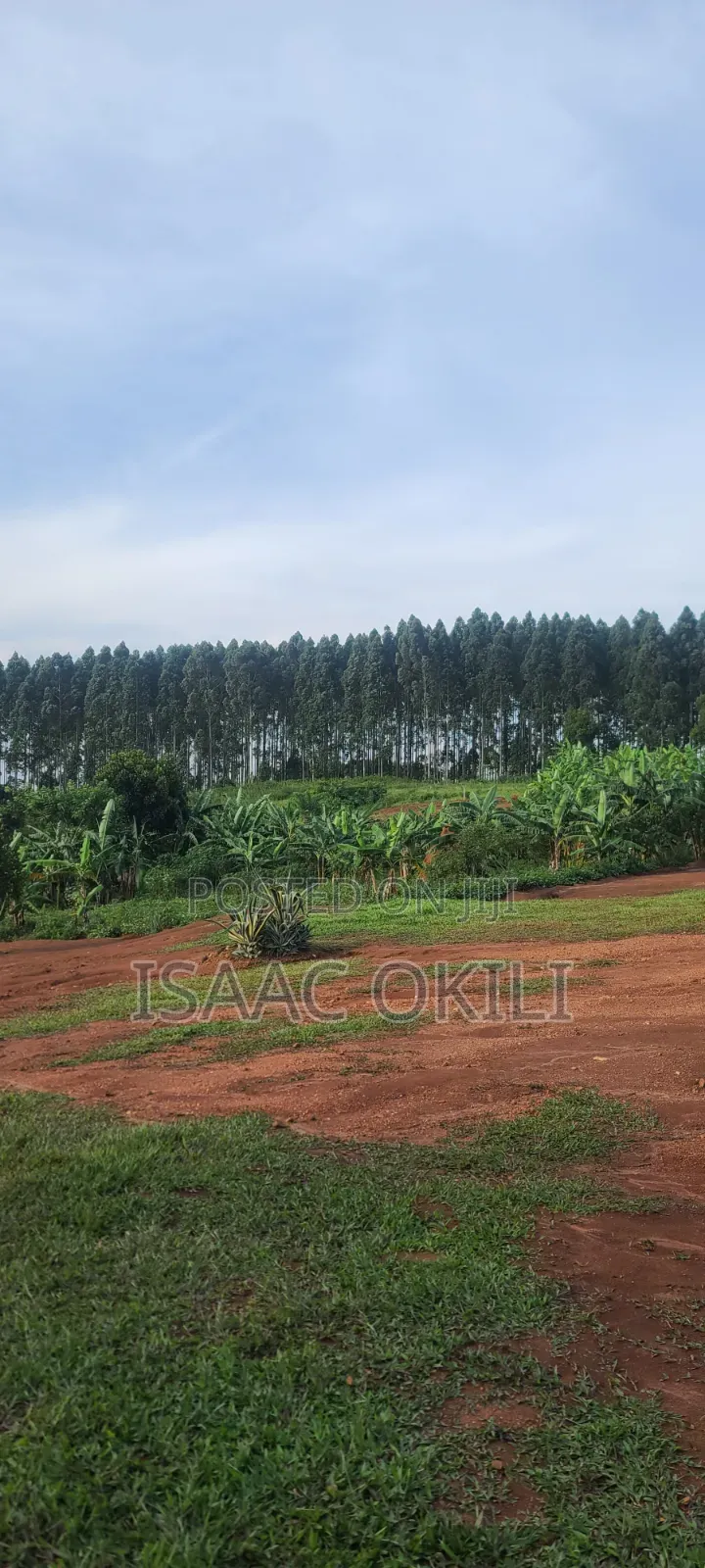 Prime Plot in Nakassaja, 
100ft X 100ft | Milo Land