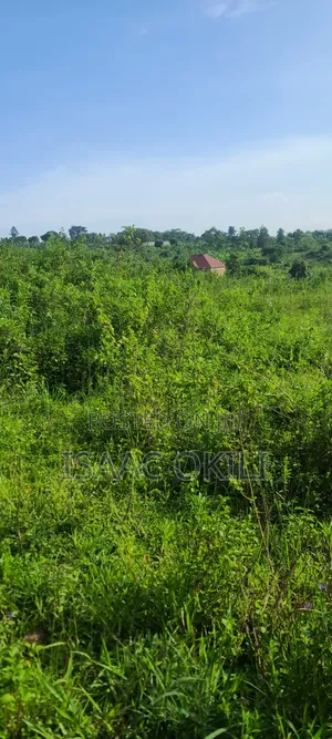 Prime Plot in Nakassaja, 
100ft X 100ft | Milo Land