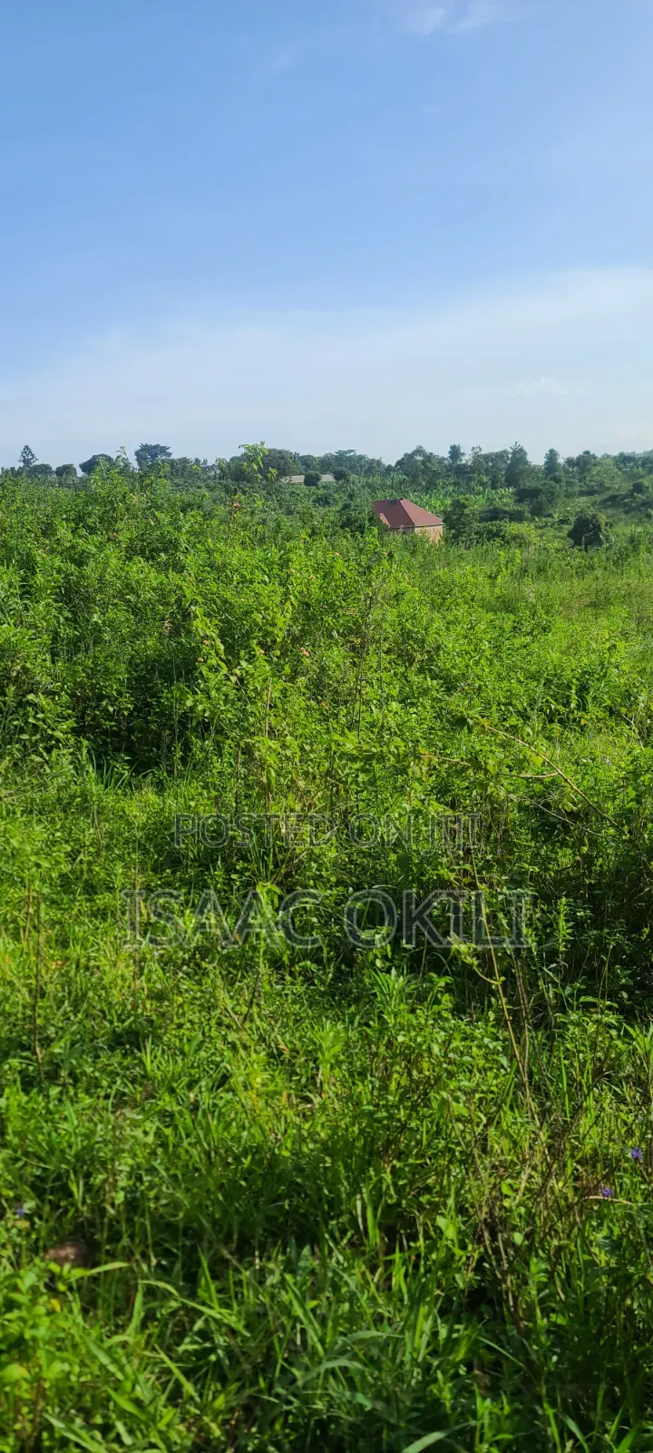 Prime Plot in Nakassaja, 
100ft X 100ft | Milo Land