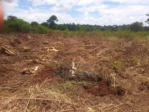 Affordable Land Deal