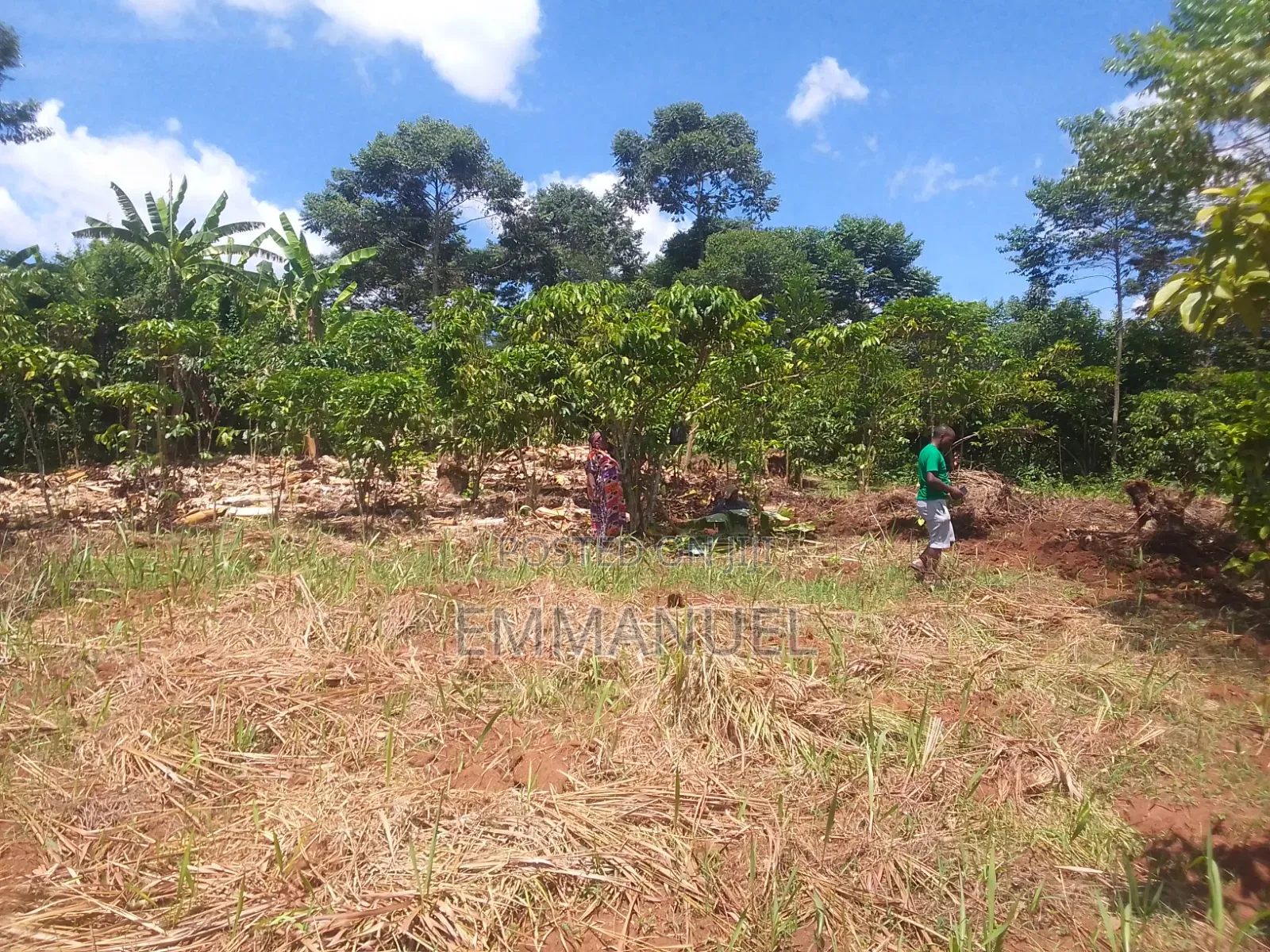 Affordable Land