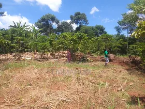 Affordable Land