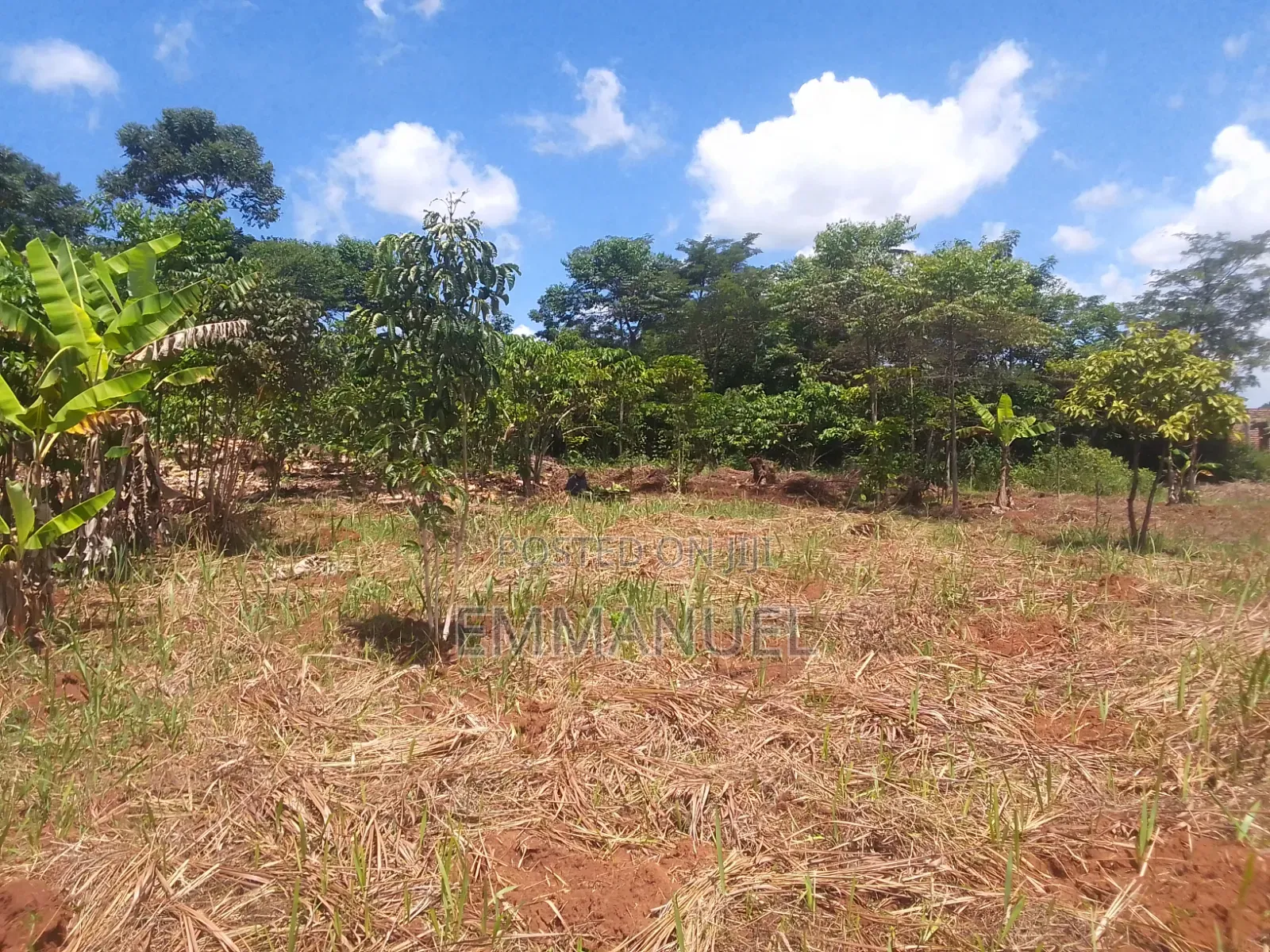 Affordable Land