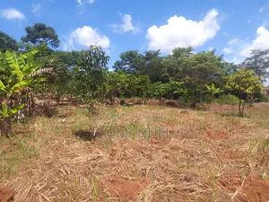 Affordable Land