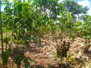 Affordable Land