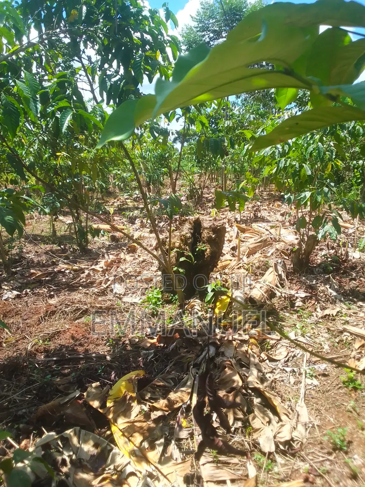 Affordable Land