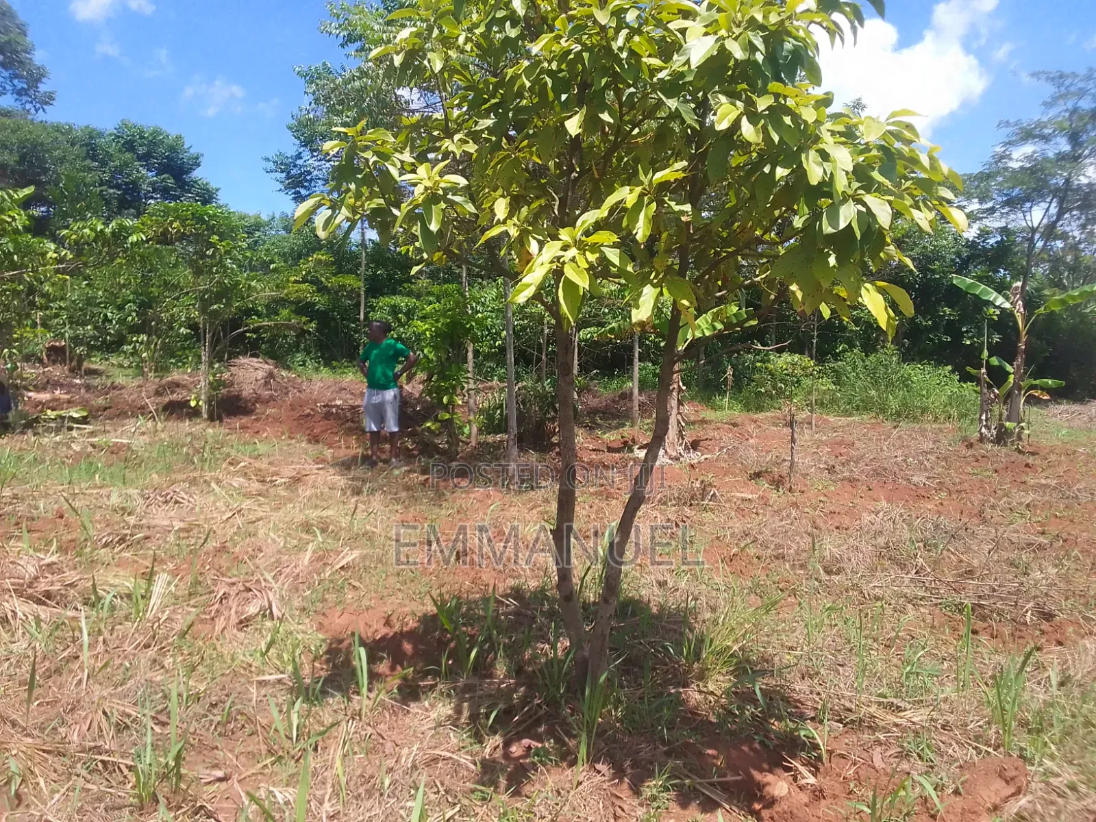 Affordable Land