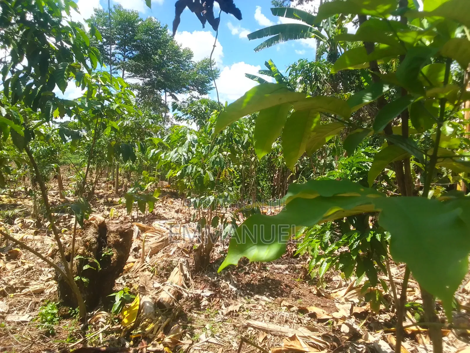 Affordable Land