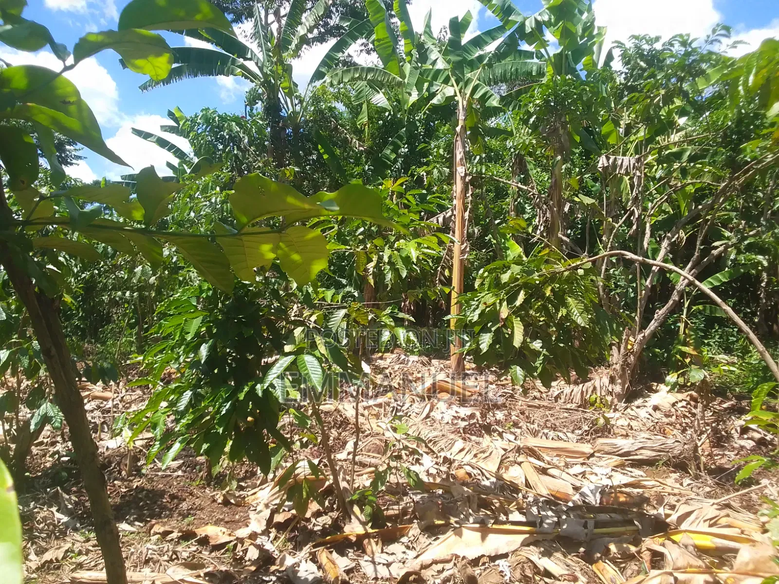 Affordable Land