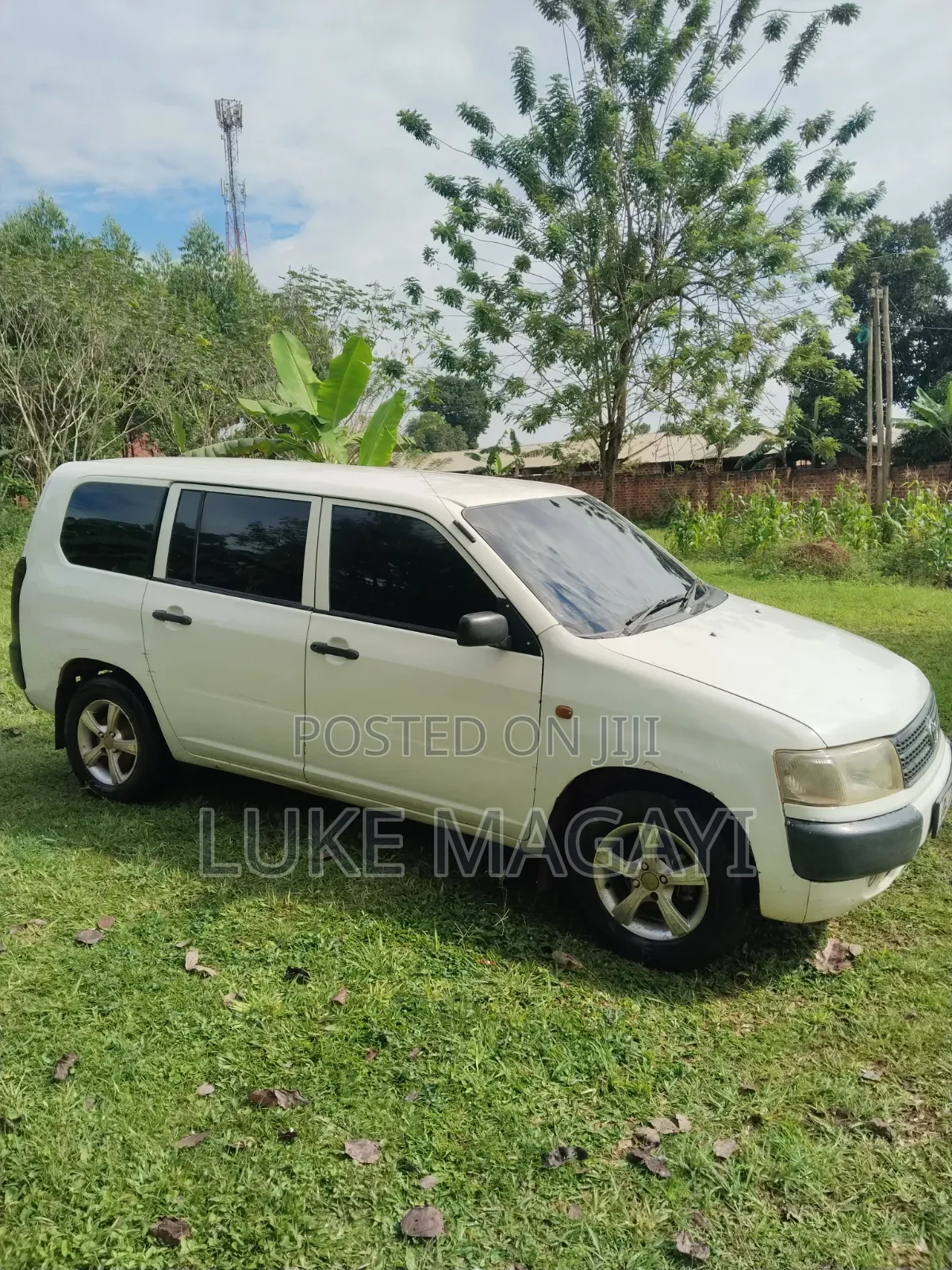 Toyota Probox 1.4 DT DX Comfort 2WD 2005 White