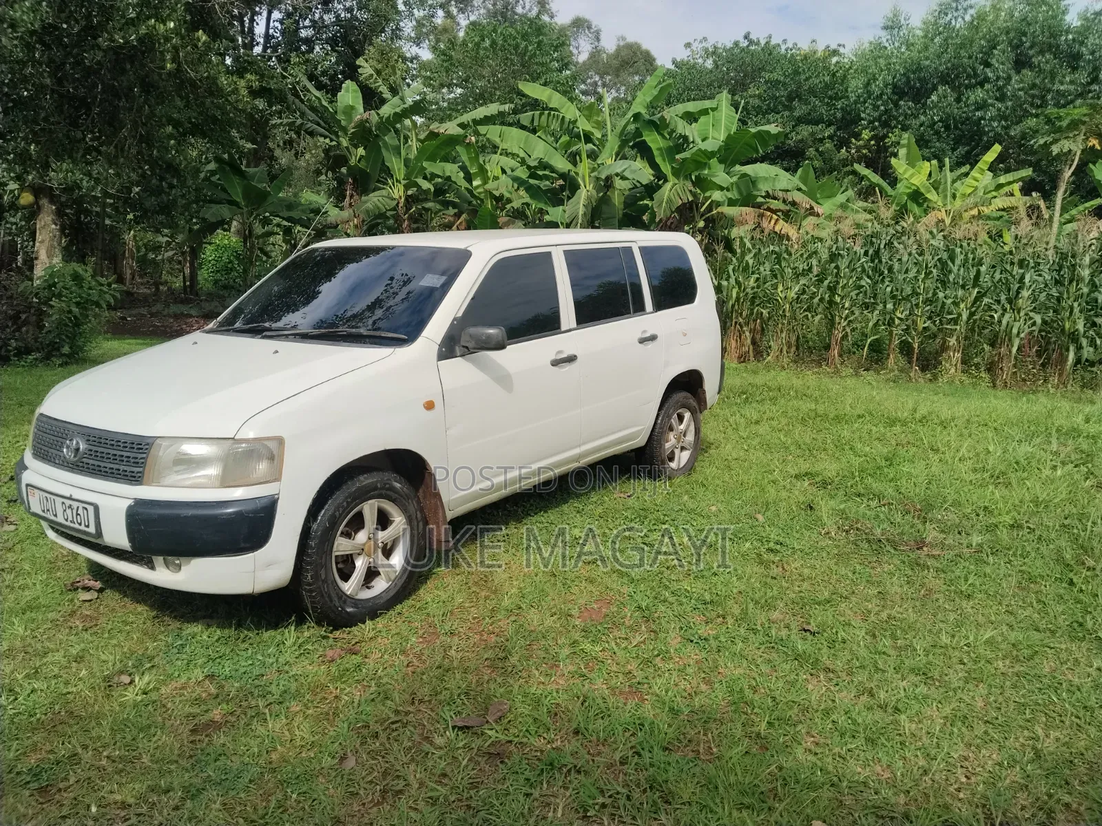 Toyota Probox 1.4 DT DX Comfort 2WD 2005 White