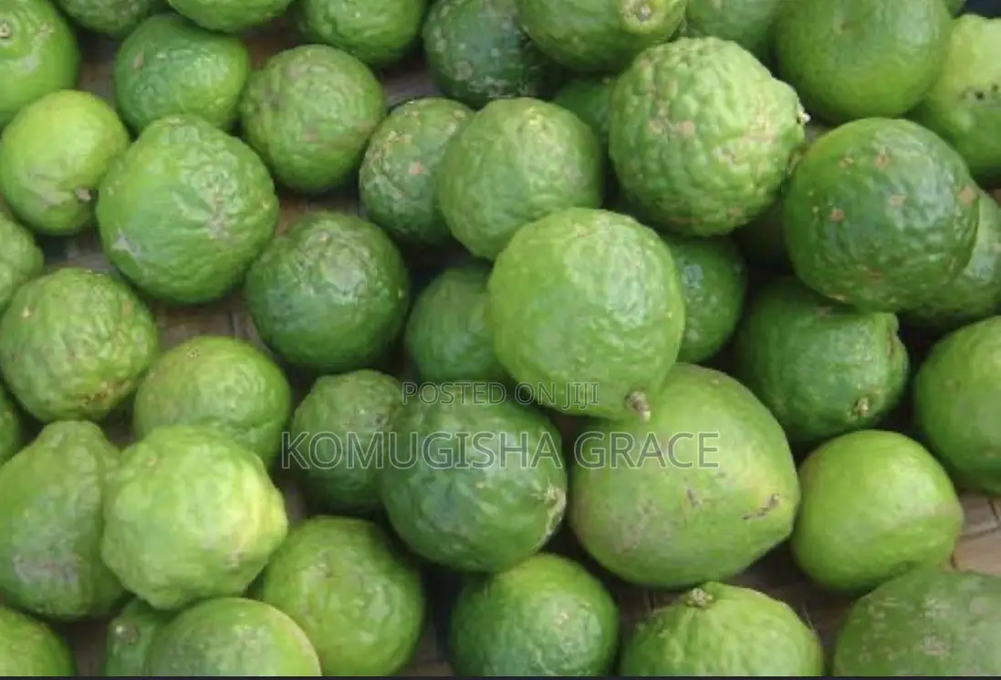 Fresh Oranges