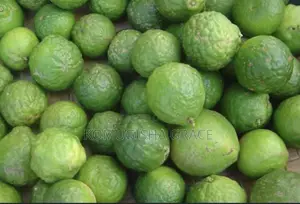Fresh Oranges