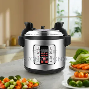 Dw60ltrs Digital Electric Pressure Cooker With Micro Computer Control