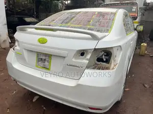 Car Repair, Spraying Dent Removal