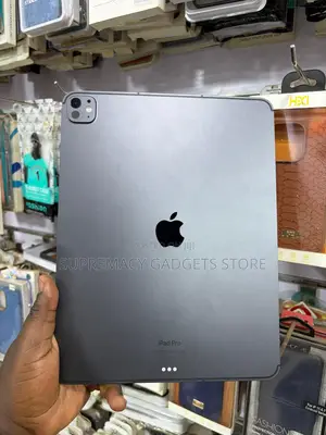 Apple iPad Pro 256 GB Gray