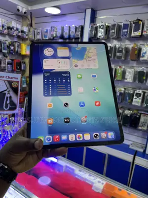 Apple iPad Pro 256 GB Gray