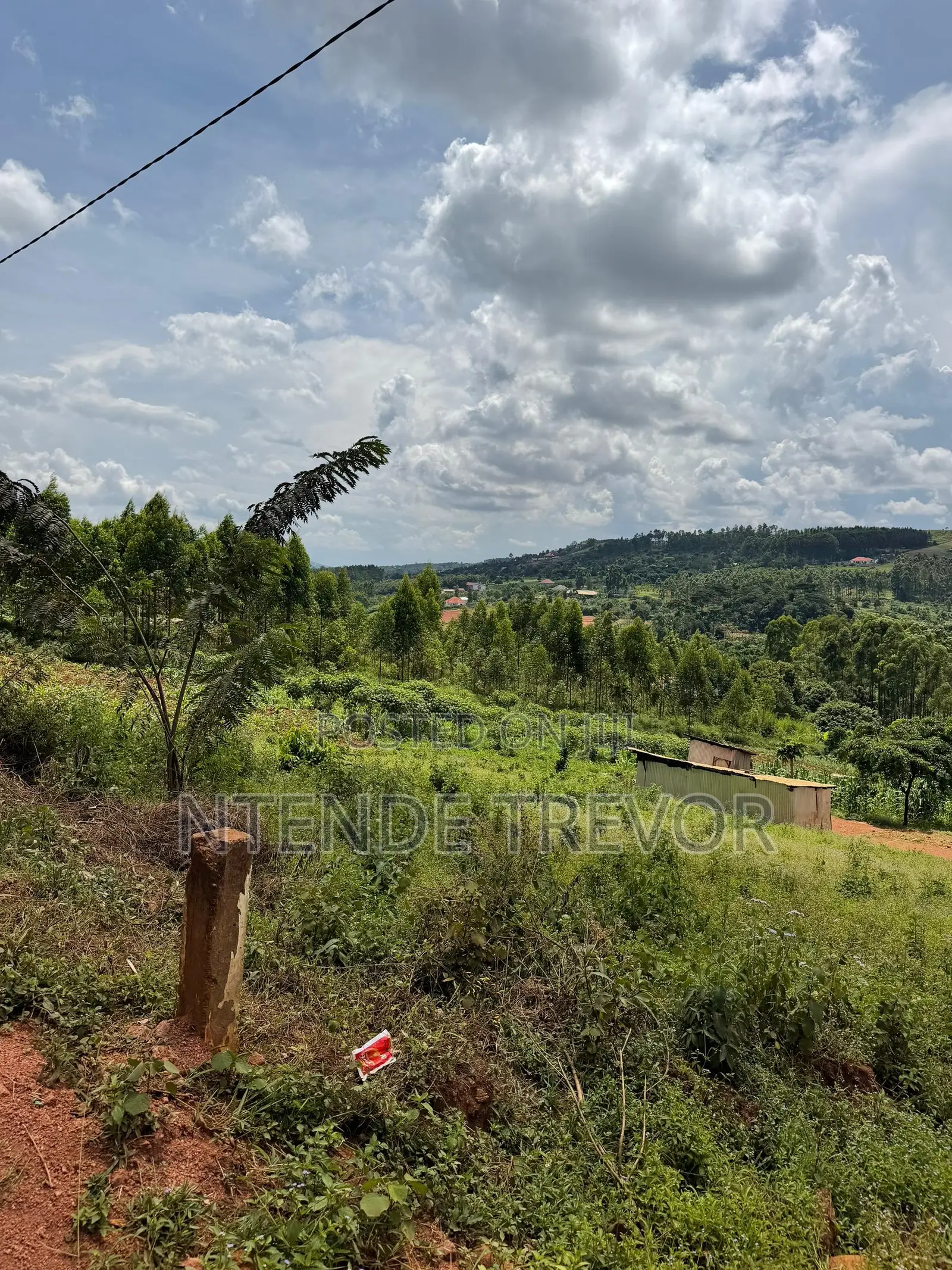 Half Acre Residential Plot for Sale in Ssisa-Kagakitende. Ready Title.