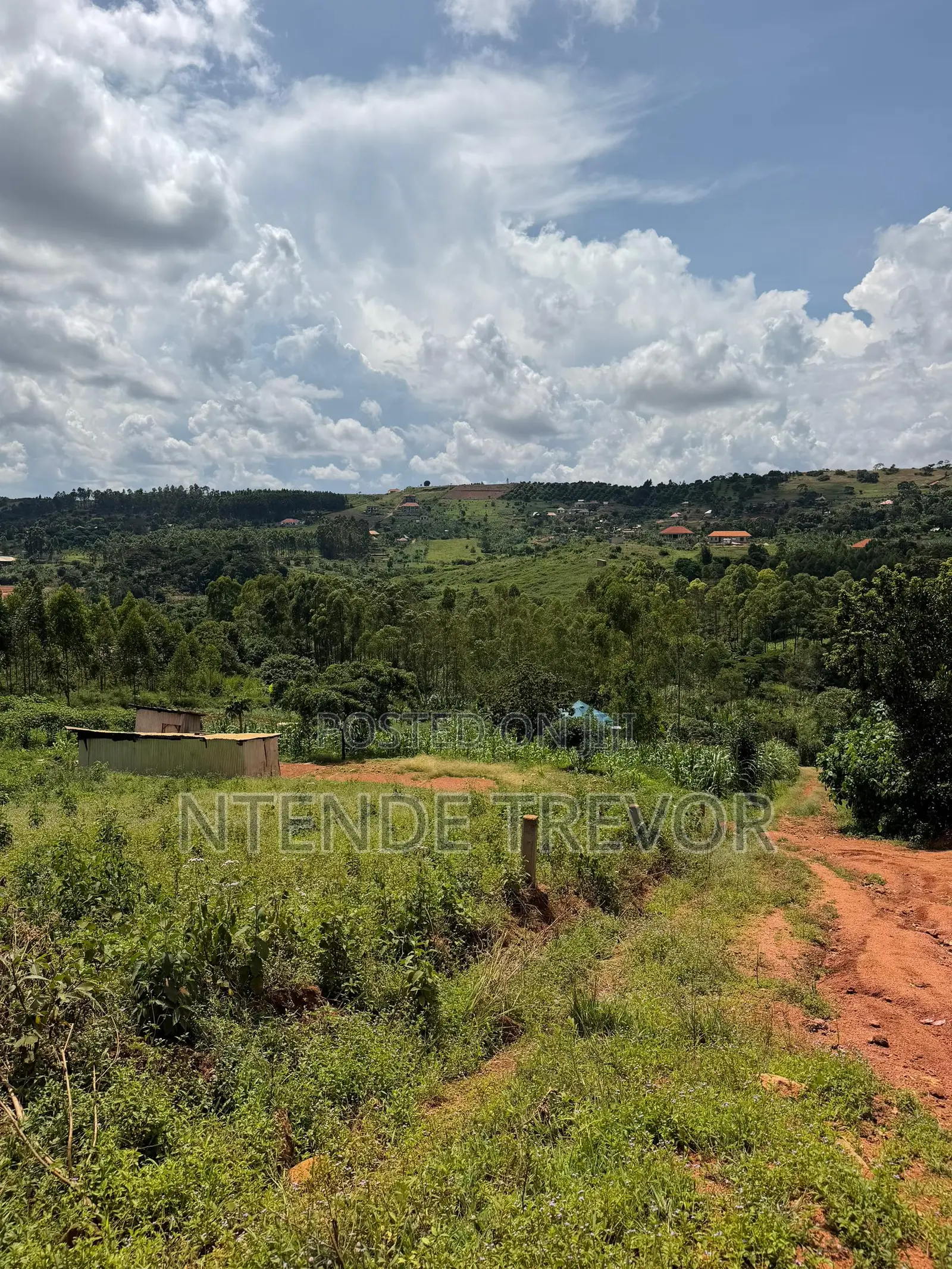 Half Acre Residential Plot for Sale in Ssisa-Kagakitende. Ready Title.